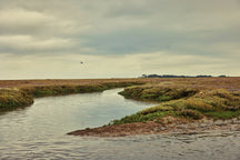 Into the creeks