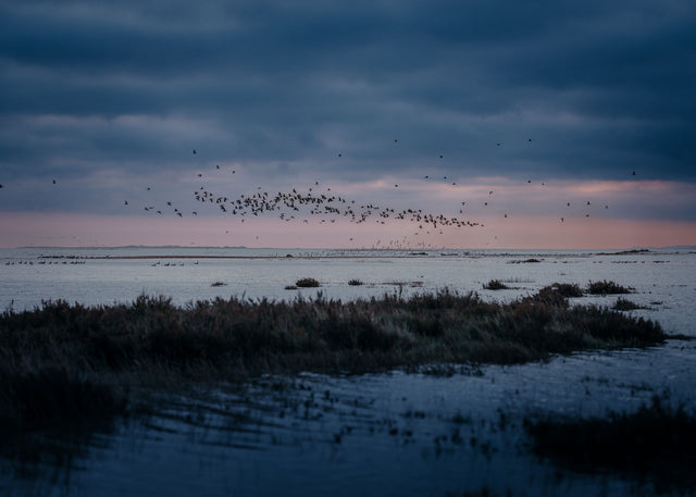 You call yourself a sailor?