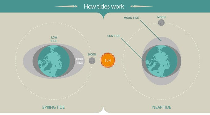 Tide Tables 2026