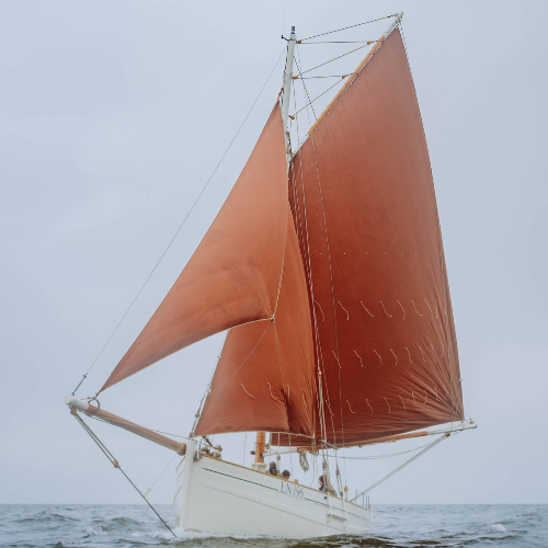 Traditional Seafarers Certificate - coastal gaff cutter sailing