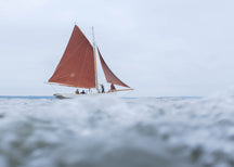 Home on the evening tide