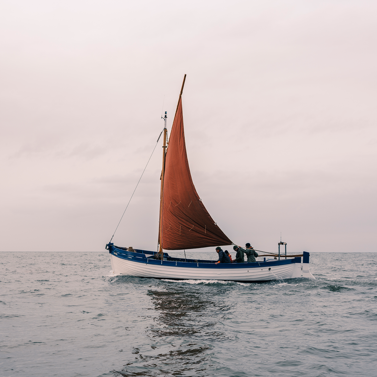 Whelk Boat (up to 8 pax)